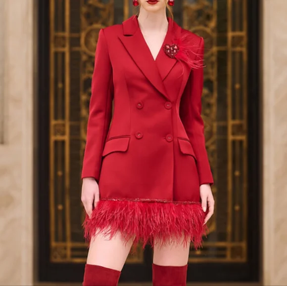 21SIX NWT Red Rosa Taffeta Feather Blazer Dress - Picture 7 of 10